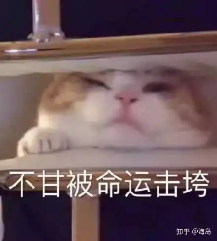 大学四年了,你变成了最好的自己了吗