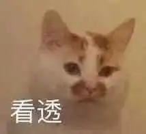 玫瑰沾白糖的相册天使猫猫的表情包