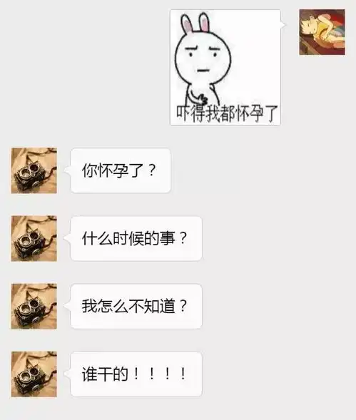 和爸妈聊天,我控制不了寄几截图的欲望啊