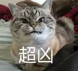 不给猫咪做绝育,你凭什么说爱它