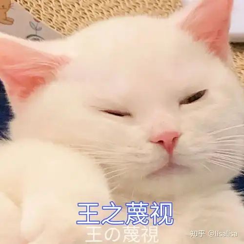 有适合和女生聊天的表情包吗