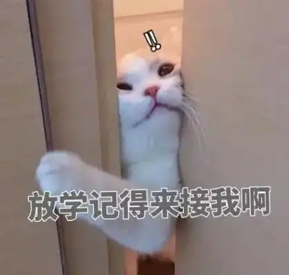 开心一刻笑话单位新来一位女同事,我打算追她