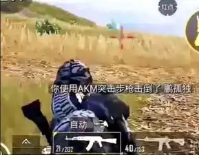 不求人大杀四方,最后结局竟出乎所有人意料原来是他惹的祸