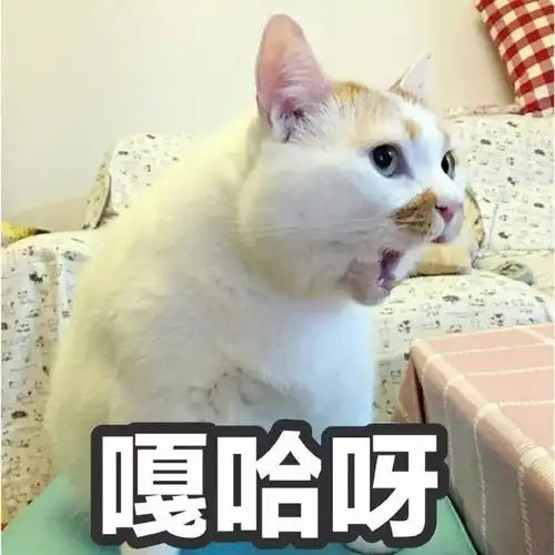 楼楼再见