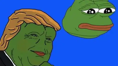 历史上第一位被公开宣告死亡的表情包青蛙pepe