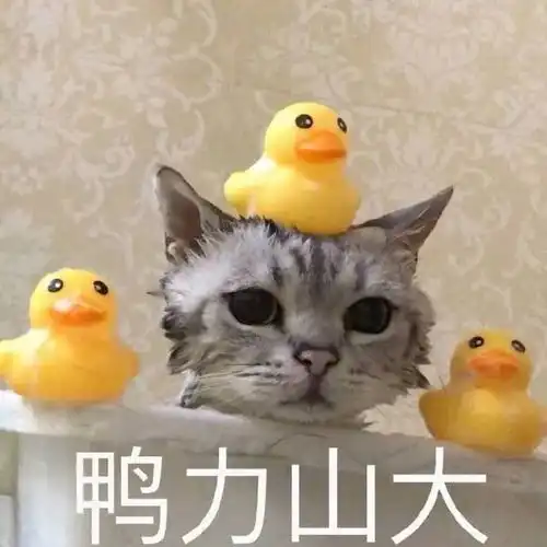 表情包我想要两个抱抱,两个亲亲