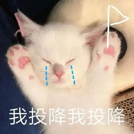 可爱猫咪表情包