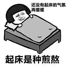 南方过冬考一身正气表情包下载南方过冬考一身正气表情包高清无水印极光下载站