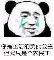 熊猫头表情包i懂了开始烦我了