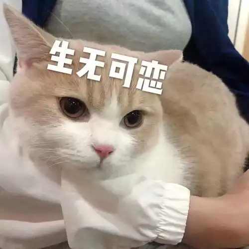 表情包在吗姐妹一起拉屎吗