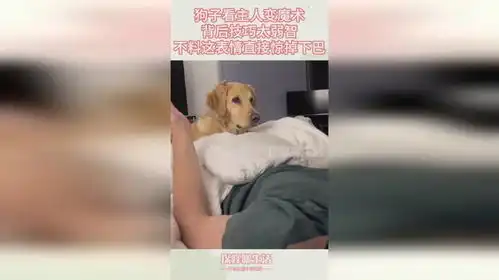 狗子看主人变魔术,背后技巧太弱智,不料这表情直接惊掉下巴