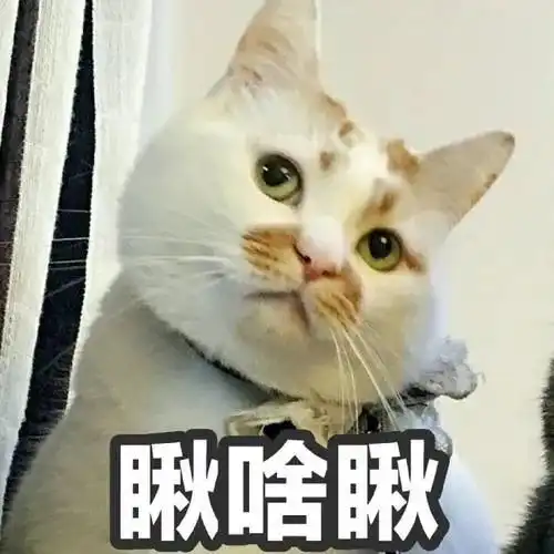 宇宙的尽头是铁岭