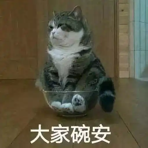 羽绒服里搭什么这3款半裙,显瘦又显高,太好看了