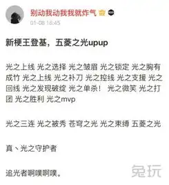 新任梗王阿光登基光之表情包微博走红