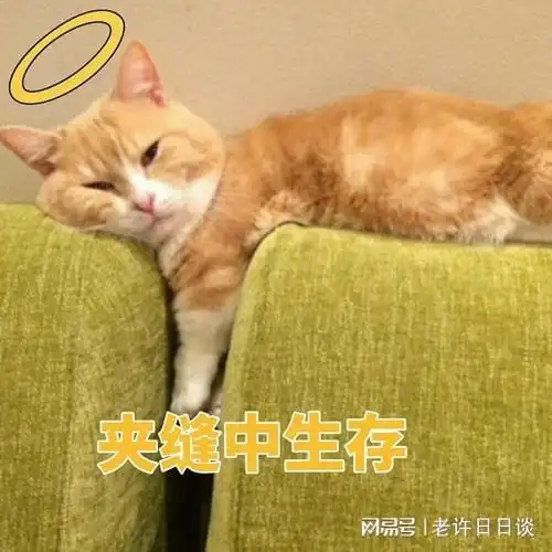 在生命面前,一切都是浮云