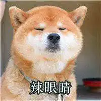 柴犬表情包头像微信头像图片大全