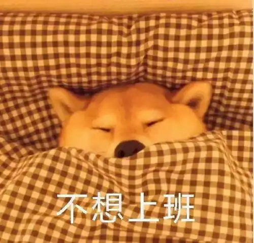 柴犬冬季打工人表情包要迟到了