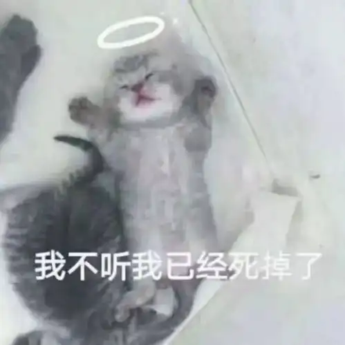 谈恋爱走心不走脑的几大星座