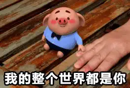 猪小屁表情包无水印高清版