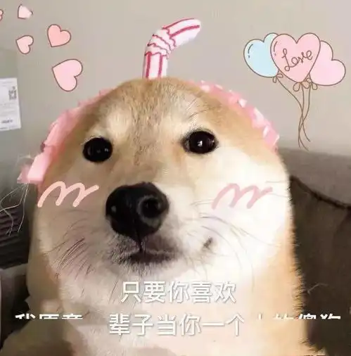 聊天必备表情包我可有你的丑照