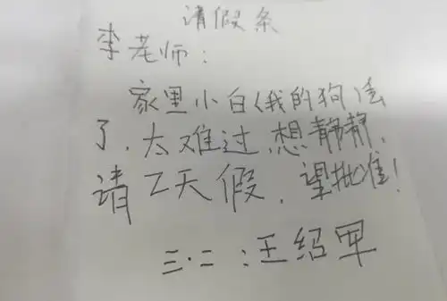 小学生奇葩请假条,狗丢了想请假来伤心老师差一点我就上当了