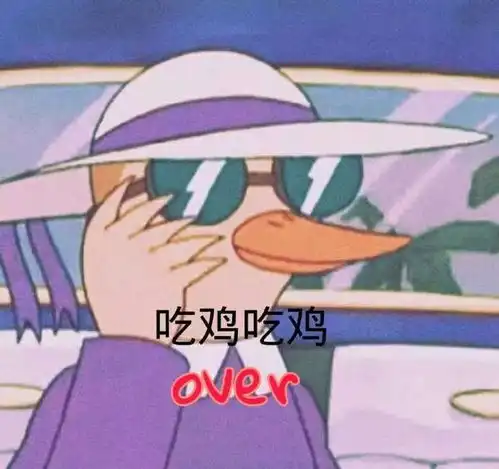 沙雕表情包直呼正道的光