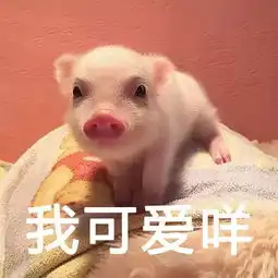 四月,是时候谈一场酸死人的恋爱了