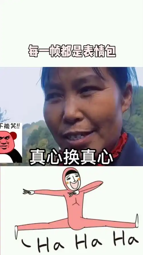 每一帧都是表情包