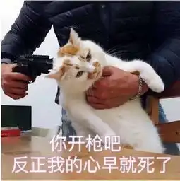 单身狗扎心了25岁女子因单身面试被刷