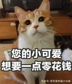 在日本一只田园猫咪也要一万块人民币,为何日本养猫那么贵