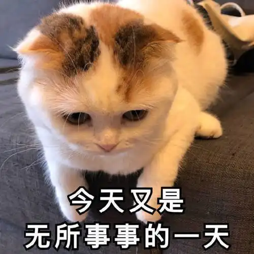 常见的人际关系成语典故