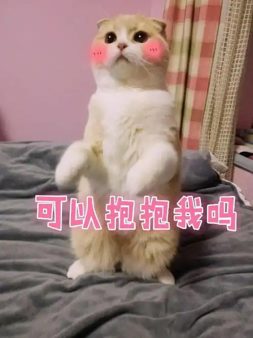 重要通知即日起,武汉市民凭身份证