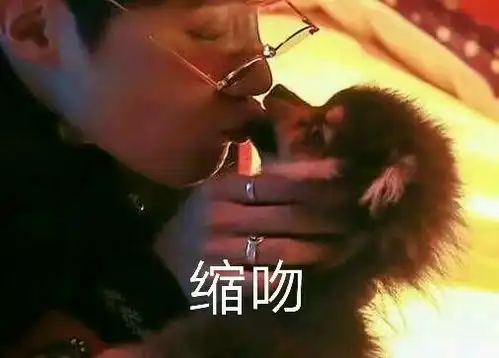 追星女孩的沙雕表情包合集