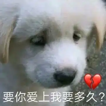4.21表情包丨别劝我我要去揍他