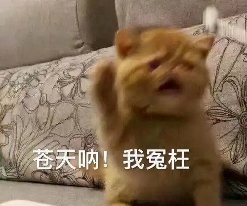 这种忙千万不能帮,惹祸上身就晚了