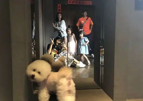 贾静雯大女儿晒照庆生,后妈林若亚不输章子怡,动态内容让人羡慕