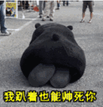 经常看到这个东西的表情包,这是个什么玩意儿,叫什么名字呀