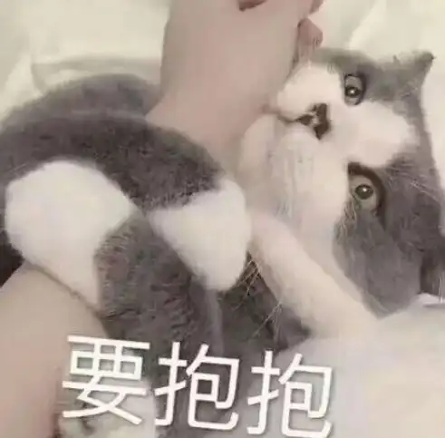 猫咪要抱抱表情包大全