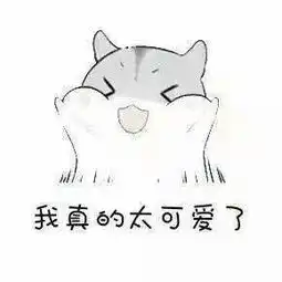 斗图丨仓鼠情侣表情包