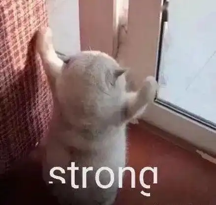日推爆火的4w赞猫片神奇在哪里猛男看完前三张开始手抖