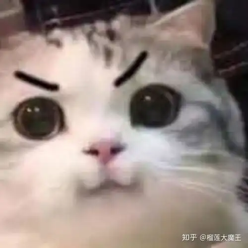 有没有人能告诉我这个表情包的出处啊