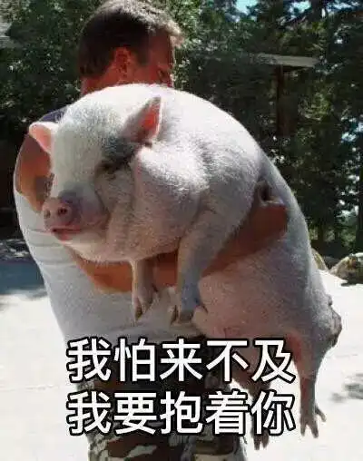 结婚的时候一定要找个好司仪啊,这全是套路啊