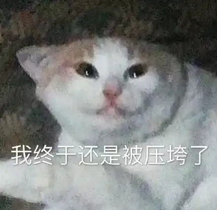 可爱小猫表情包