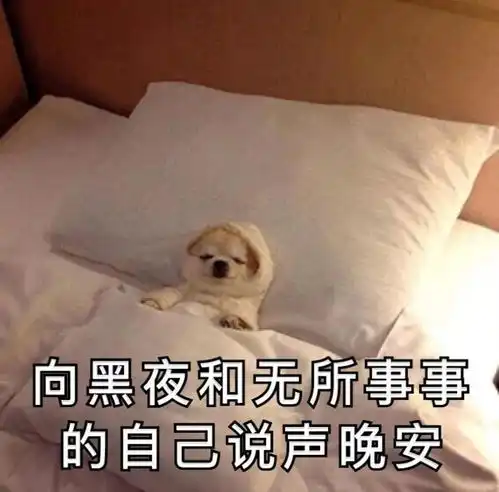 在深圳,每个人都觉得自己从事高危职业