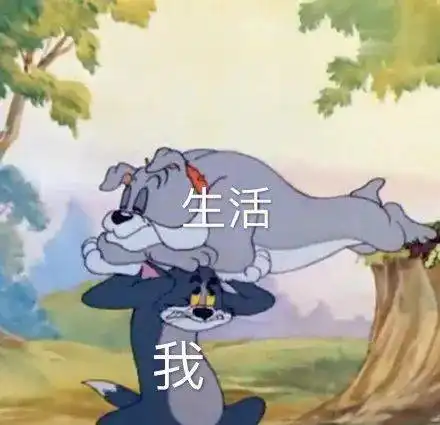 猫和老鼠表情包你别这样我害怕