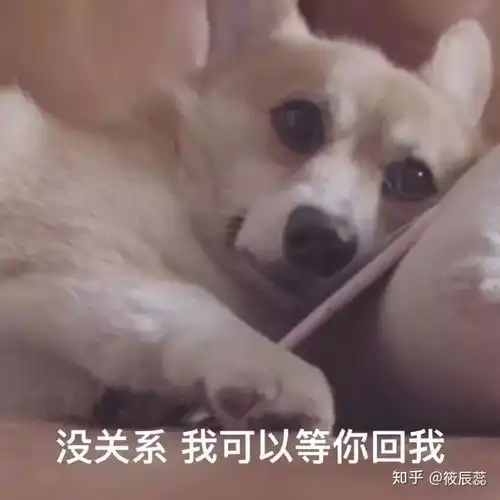 你们身边有舔狗舔到最后应有尽有的例子吗