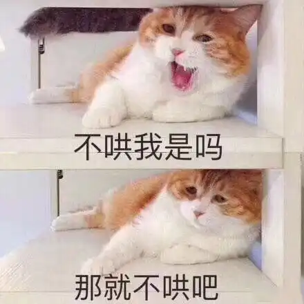 今年全国研究生都扩招吗博士比不过本科生