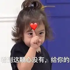 我的收藏夹