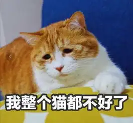 台风逼近整天都是雨雨雨珠海人接下来可能会看到一份假的天气预报
