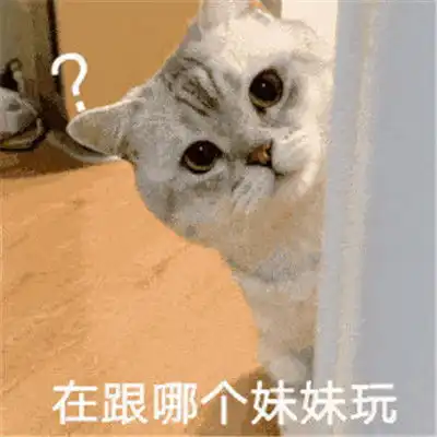 2022年很有趣的沙雕聊天表情大全